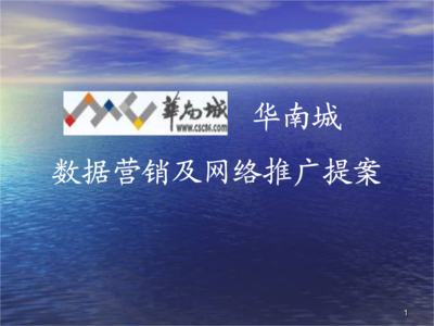 数据营销及网络推广提案——上海企业网站推广策略